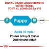 ROYAL CANIN Croquettes Teckel puppy sac de 1,5 kg