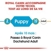 ROYAL CANIN Croquettes Teckel puppy