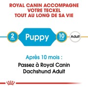 ROYAL CANIN Croquettes Teckel puppy