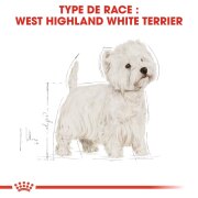 ROYAL CANIN Croquettes West Highland Terrier Adult