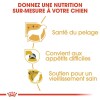 ROYAL CANIN Croquettes Yorkshire Terrier mini Adult