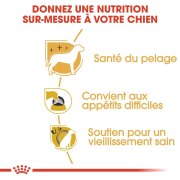 ROYAL CANIN Croquettes Yorkshire Terrier mini Adult