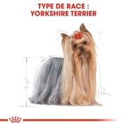 ROYAL CANIN Croquettes Yorkshire Terrier mini Adult