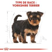 ROYAL CANIN Croquettes Yorkshire Terrier puppy