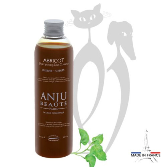 Shampoing Eclat Couleur Abricot Anju Beauté
