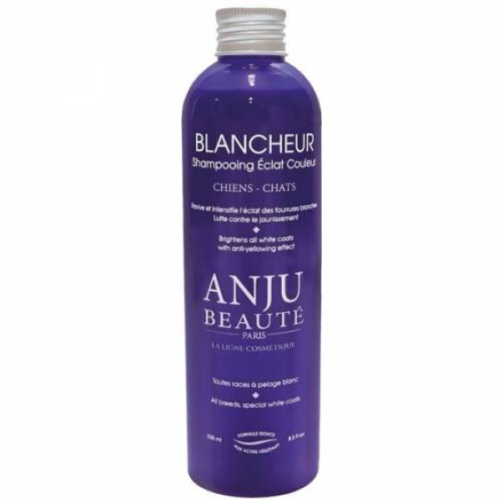 Shampoing Éclat Couleur pour chat - chien Anju Beauté
