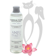 Shampoing Équilibre Énergie Pure Anju Beauté