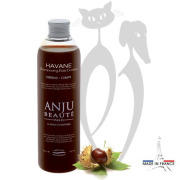 Shampoing Eclat Couleur Havane Anju Beauté