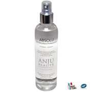 Soin Démêlant Pro Absolu Anju Beauté