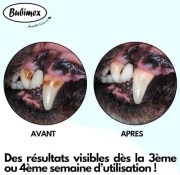 Plaque Destructor anti-tartre Dental Plus Bubimex