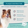 Plaque Destructor anti-tartre Dental Plus Bubimex