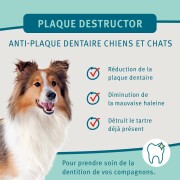 Plaque Destructor : Anti tartre garantie ! Dental Plus