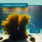 Plaque Destructor : Anti tartre garantie ! Dental Plus