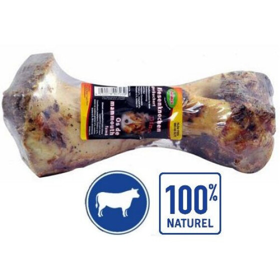 Os de mammouth fumé