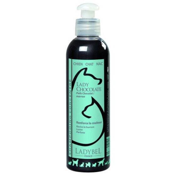 Shampoing pour chat et chien Chocolate