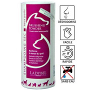 Shampoing sec chat et chien Brushing