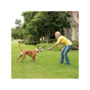 Clôture anti-fugue PetSafe