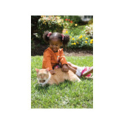 Système anti-fugue PetSafe