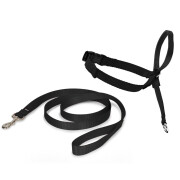 Licol Easy Walk noir