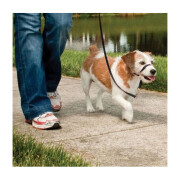 Licol Easy Walk noir