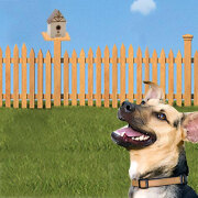 Système anti-aboiement pour l'extérieur