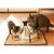 Drinkwell Fontaine à eau inox 360 3,8 L