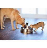 Fontaine à eau Drinkwell inox 360 3,8 L