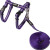 Harnais et laisse chat et chaton, anti fugue AlleyCat violet