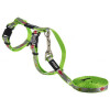Harnais avec laisse ReflectoCat vert