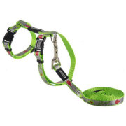 Meilleur Harnais laisse ReflectoCat vert pour chat et chaton