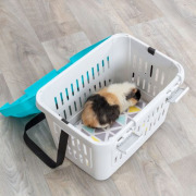 Cage de transport chat et chien gris bleu