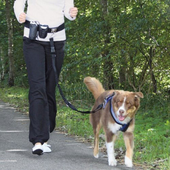 Ceinture laisse canicross Dog Activity
