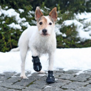 Chaussures Walker Active en nylon de protection