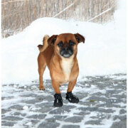 Chaussures Walker Active nylon, bottine protection neige, blessures,