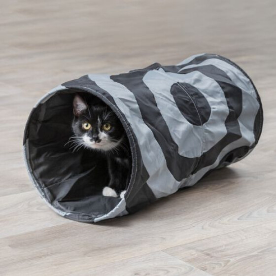 Tunnel extérieur pour chat Crunch nylon
