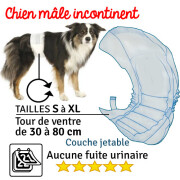 Couche pour chien incontinent