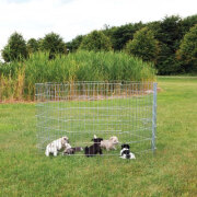 Parc pour chiot métal