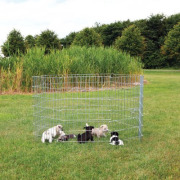 Parc pour chiot métal