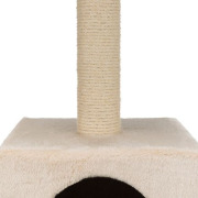 Petit arbre à chat et chaton beige