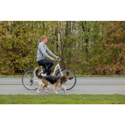 Laisse vélo Activity