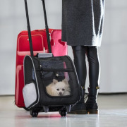 Sac à roulettes Trolley TBAG jusqu'à 8 kg