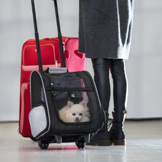 Sac à roulettes Trolley TBAG jusqu'à 8 kg