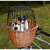 Panier vélo chien osier naturel