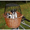 Panier vélo chien osier naturel