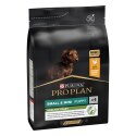 Proplan jack russel