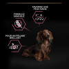 PRO PLAN Small & Mini Adult OptiDerma