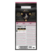 PRO PLAN Medium & Large Adult 7+ OptiDerma