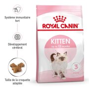 ROYAL CANIN Croquettes Kitten : chaton jusqu'à 12 mois
