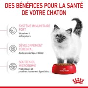 ROYAL CANIN Croquettes Kitten : chaton jusqu'à 12 mois