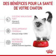 ROYAL CANIN Croquettes Kitten : chaton jusqu'à 12 mois